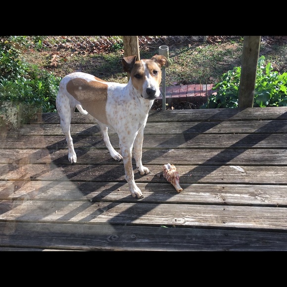 Meet your Posher, Connie - Picture 1 of 1